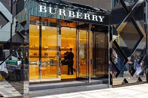 burberry global vision|burberry climate change goals.